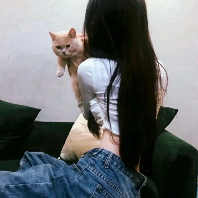 地球之盐